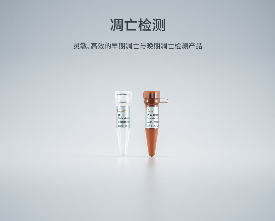 凋亡檢測